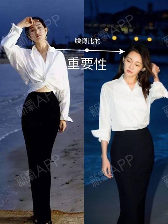 果盘萌战无双gm王者版下载