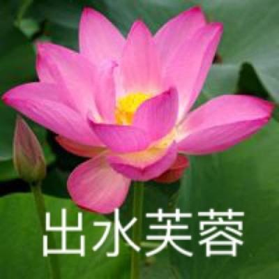 儿童乐园游戏下载